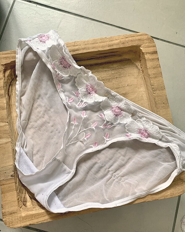 Culotte transparente
